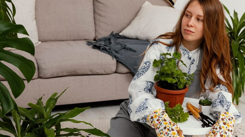 Dicas de decoração ecológica para ambientes confortáveis