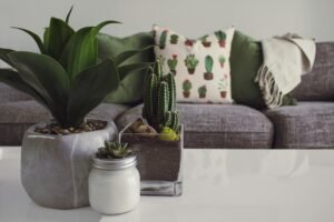 Decoração sustentável: Como grandes empresas estão inovando