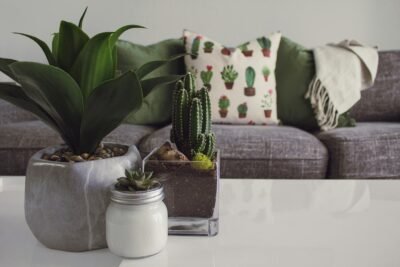 Decoração sustentável: Como grandes empresas estão inovando