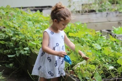 Jardinagem como terapia natural